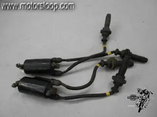 Kawasaki GTR1000(ZGT00A) Bobineset