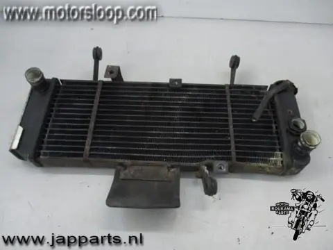 Suzuki SV650N(BY1111) Radiateur