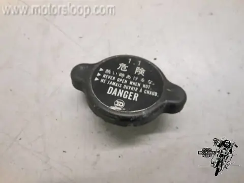 Kawasaki KLE500 Radiateurdop