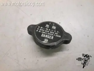 Kawasaki KLE500 Radiateurdop