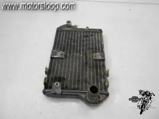 Kawasaki LTD454(EN450) Radiateur