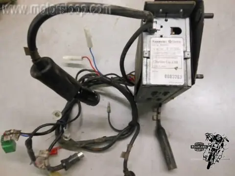 Kawasaki ZG1300(ZGT30A) Audio AM/FM Radio tuner 21179-1001