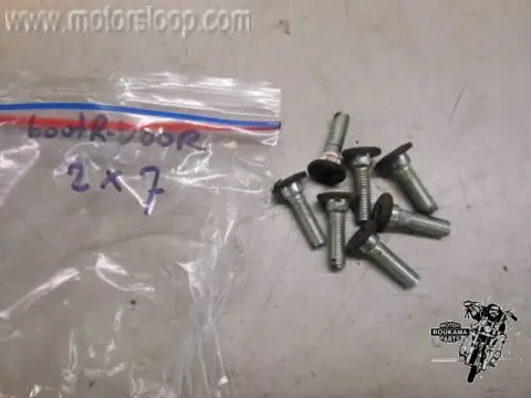 Kawasaki ZG1300(ZGT30A) Remschijfbouten (7)