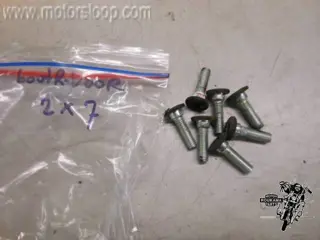 Kawasaki ZG1300(ZGT30A) Remschijfbouten (7)