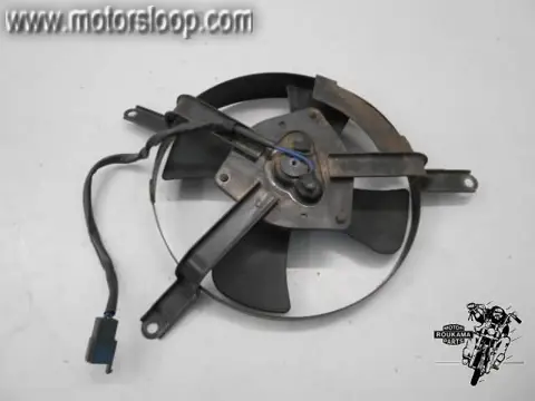 Kawasaki ZX-9R(ZX900E) Koelvin