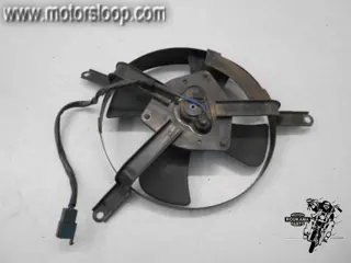 Kawasaki ZX-9R(ZX900E) Koelvin