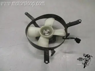 Kawasaki ZZR1100C Koelvin