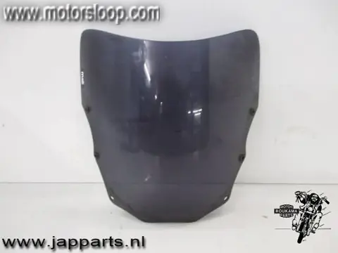 Kawasaki ZZR600E Kuipruit smoke