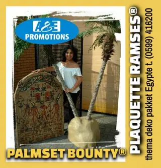 Piraat luchtkussen verhuur t. 0599 416200