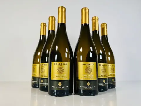 2019 Allegrini - Poggio al Tesoro "Solosole" - Vermentino