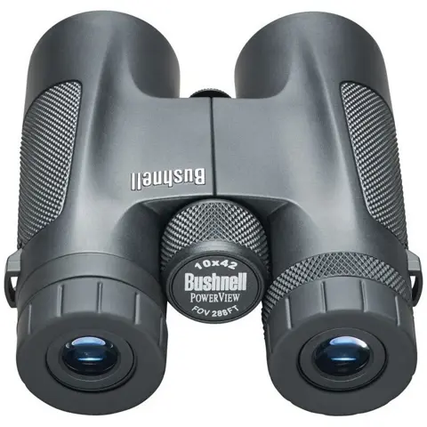 Bushnell Powerview 10X42