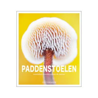 Paddenstoelen, onmisbare wonderen van de natuur