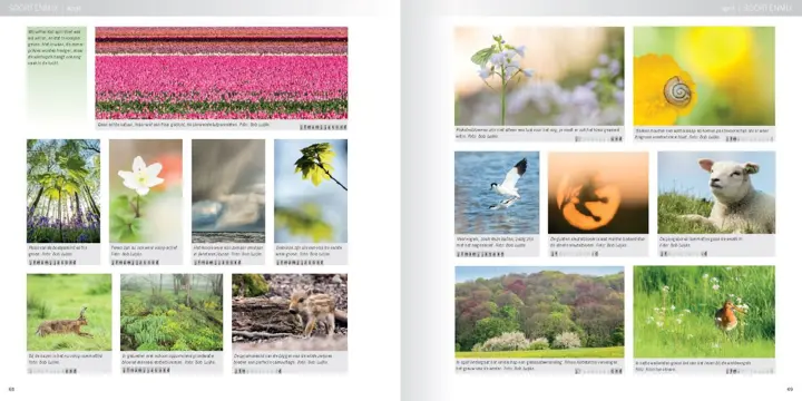 Birdpix Praktijkboek Natuurfotografie Jaarrond