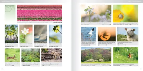 Birdpix Praktijkboek Natuurfotografie Jaarrond