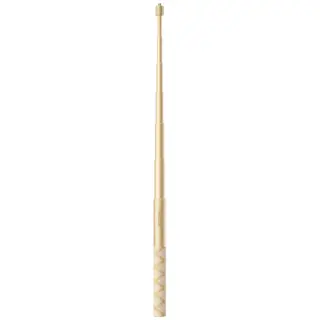 Insta360 Invisible Selfie Stick Gold Edition