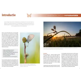 Fotografiegids Vlinders En Libellen