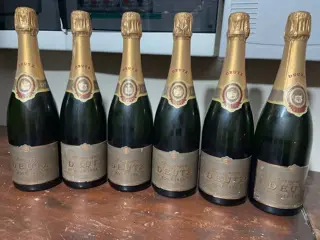 1996 Deutz - Champagne Rosé - 6 Fles (0,75 liter)