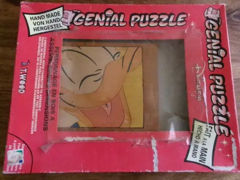 Houten Genius puzzel