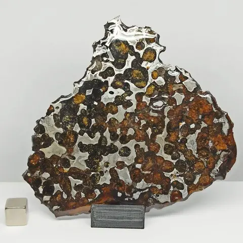 XL doorschijnende PALLASITE meteoriet. SERICHO (Kenia