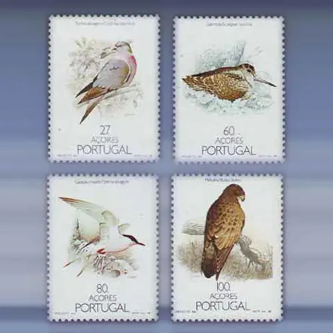 Vogels (1988)