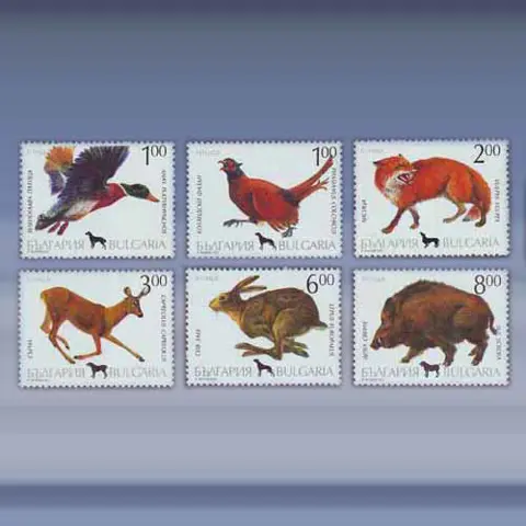 Dieren (1993)