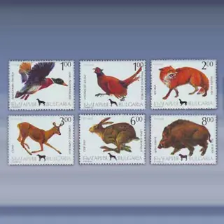 Dieren (1993)