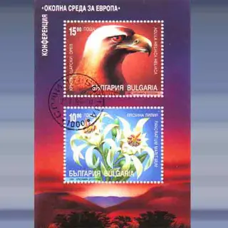 Nature conference (1995)