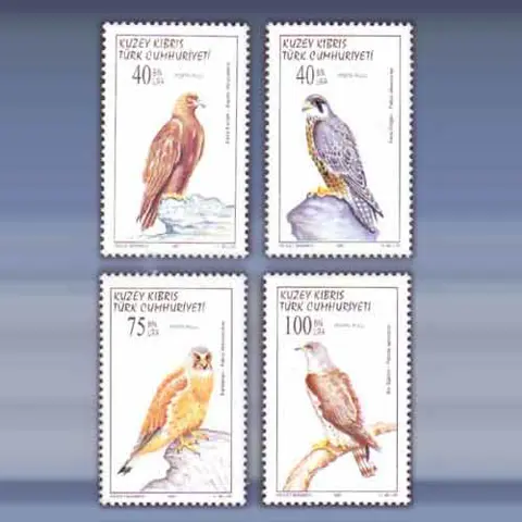 Vogels (2006)