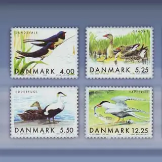 Trekvogels (1999)