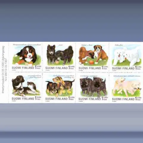 Jonge Honden (1998)