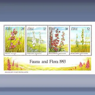 Fauna en Flora (XVI) (1993)