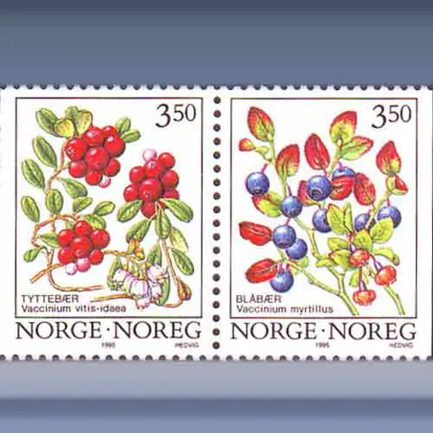 Flora (1995)