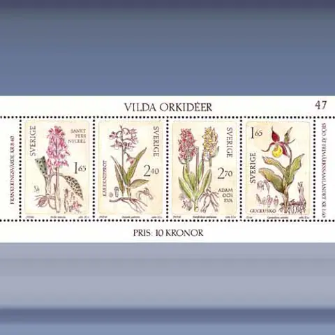Wilde Orchideen (1982)
