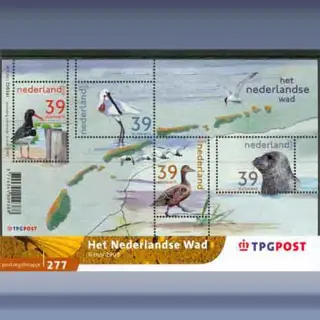 Het Nederlandse Wad (2002)