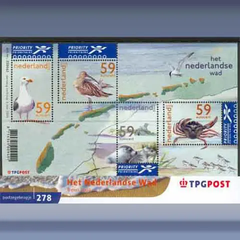 Het Nederlandse Wad (2003)