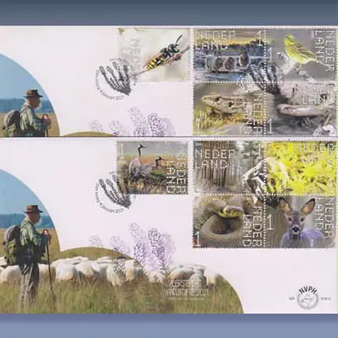 Dwingelerveld (2021)