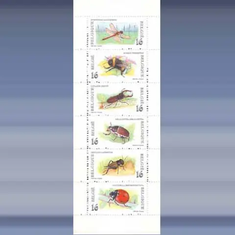 Insecten (1996)
