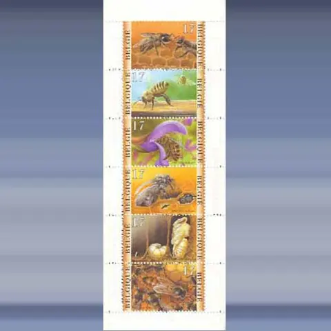 Bijen (1997)