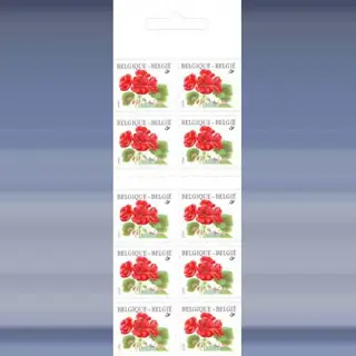 Bloem (Geranium) (1999)