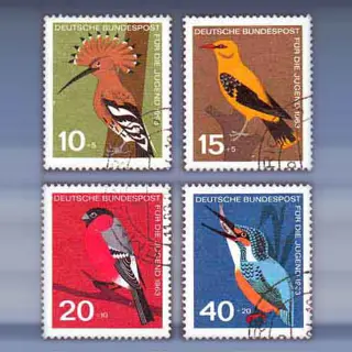 Jugend: Vogel (1963)