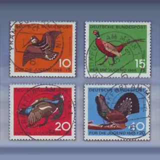 Jugend: Federwild (1965)