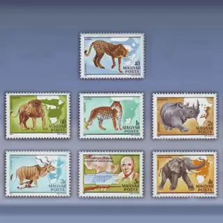 K. Kittenberger (1981)