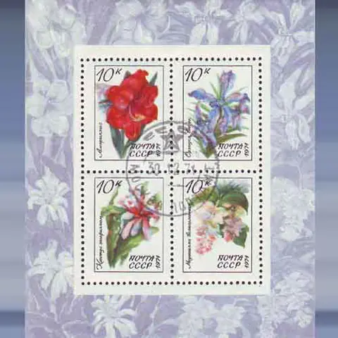Bloemen (1971)