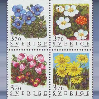 Bergbloemen (1995)