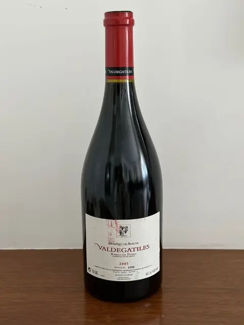 2007 Dominio de Atauta, Valdegatiles - Ribera del Duero - 1