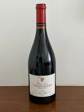 2007 Dominio de Atauta, Valdegatiles - Ribera del Duero - 1