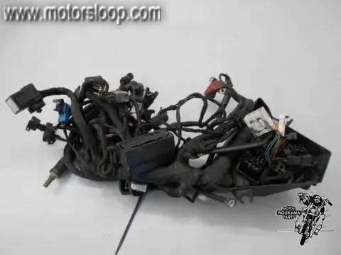 BMW F650GS(0176) Draadboom