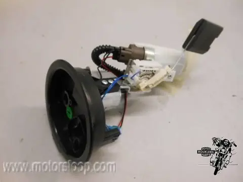 BMW F700GS(E8GS) Benzinepomp met niveaumeter 16147723151