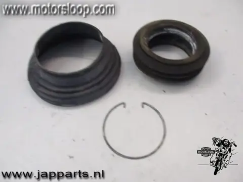 BMW R1100RS(259) Cardan rubbers