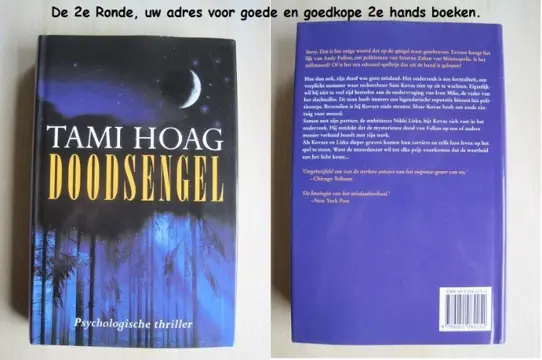 413 - Doodsengel - Tami Hoag